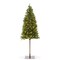 Casafield Pre-Lit Realistic Pencil Alpine Fir Artificial Holiday Christmas Tree with LED Lights and Metal Stand
